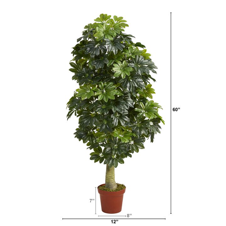 HomPlanti 5 Feet Schefflera Artificial Tree (Real Touch)