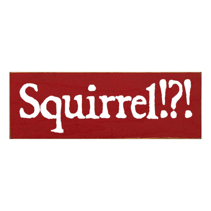 Squirrel Wood Sign Rustic Farmhouse Wall Decor for Living Room, Cabin or Entryway