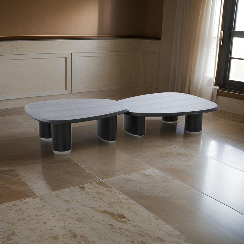 Cid Sami Coffee Table, Set of 2, Freeform Shape, Black Solid Wood Frame