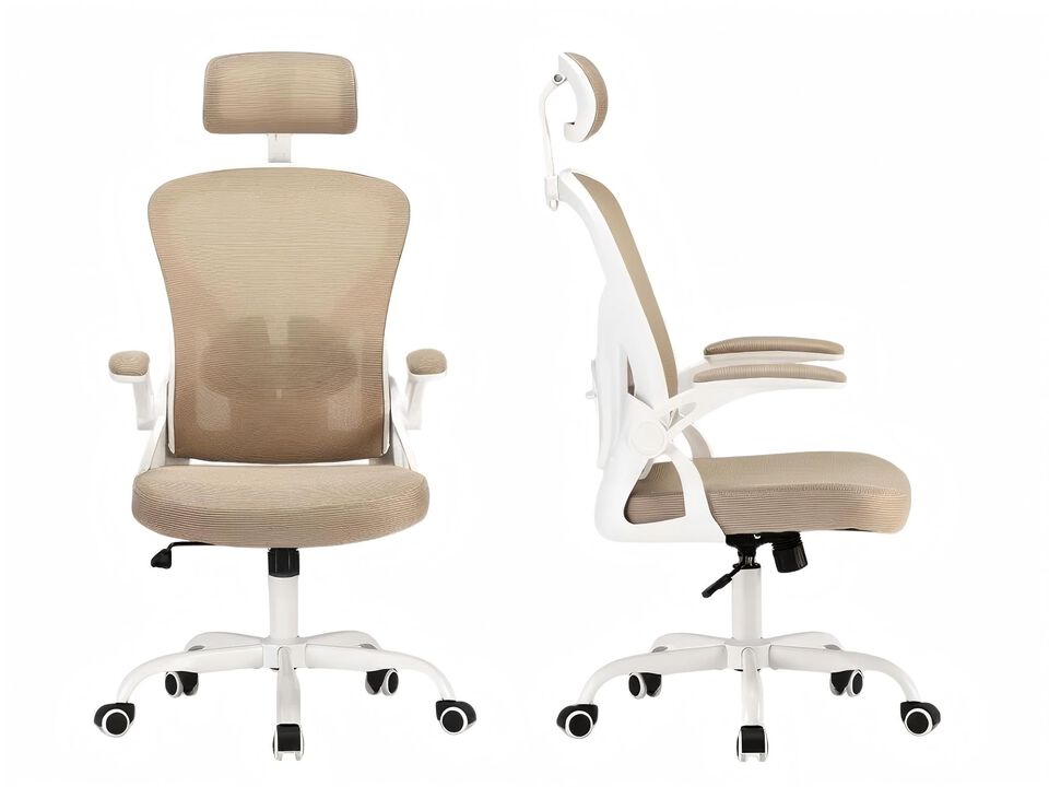 Petrimins Ergonomic Office Chair with 3-Layered Lumbar Support, Adjustable Headrest, Reclining Desk Chair with Flip-Up Armrests for Home, Office