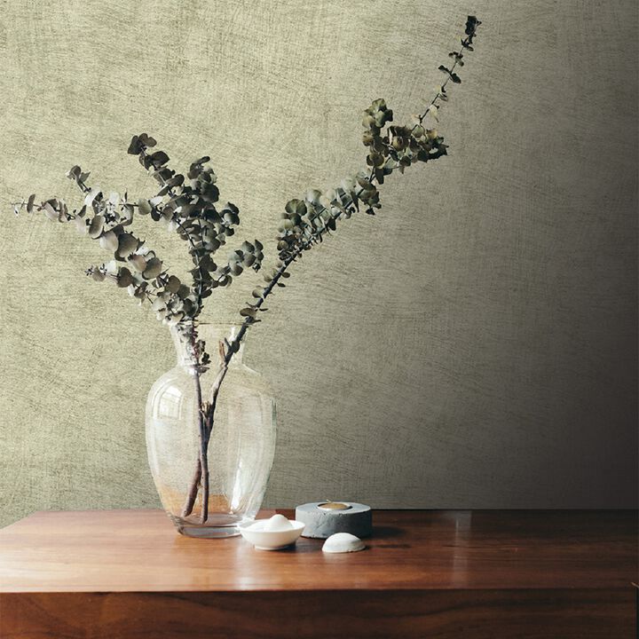 Pampas Plain Brushed Texture Wallpaper