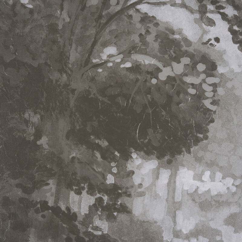 Forest Morning II image number 6