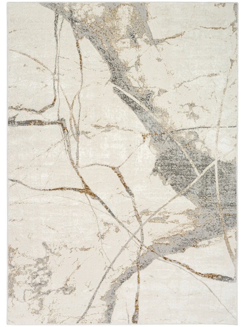 CK073 Compass CMP04 Ivory/Multicolor 5'3" x 7'3" Rug image number 0
