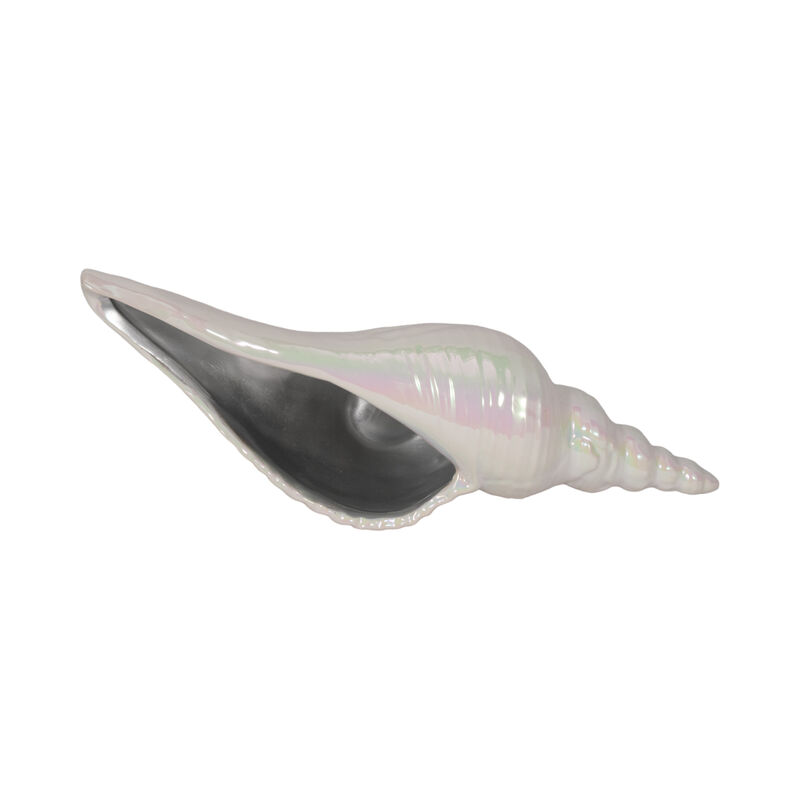 12" Long Iridescent Seashell image number 5