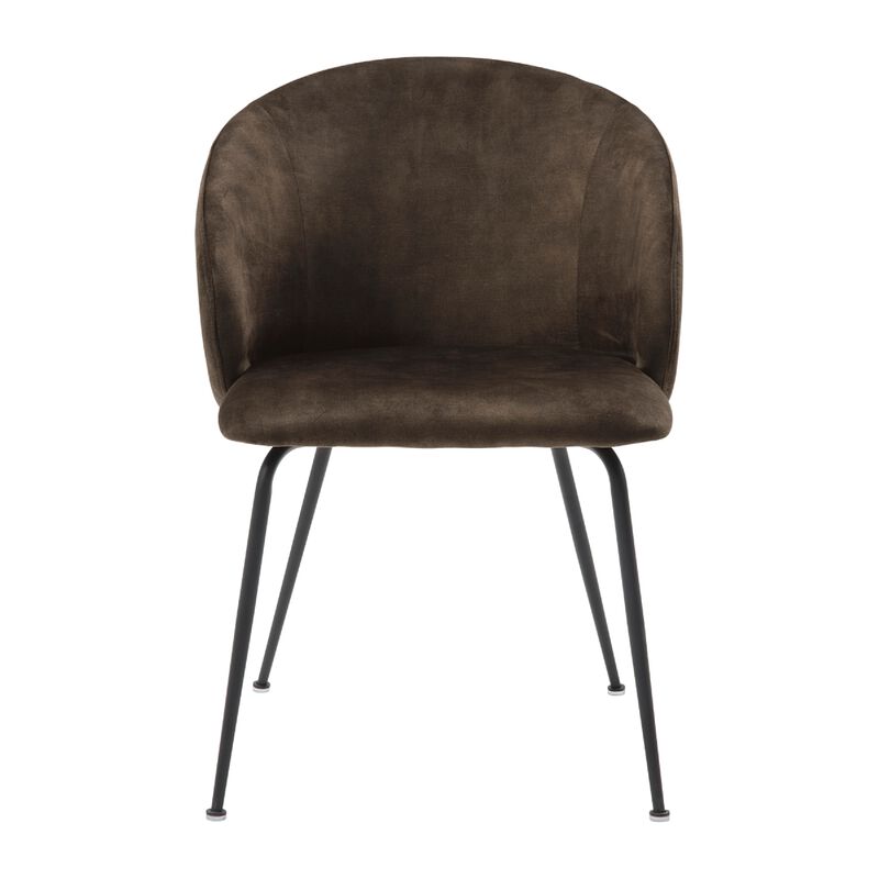 Salie Dining Chair Set of 2, Curved Back, Black Metal, Brown Velvet