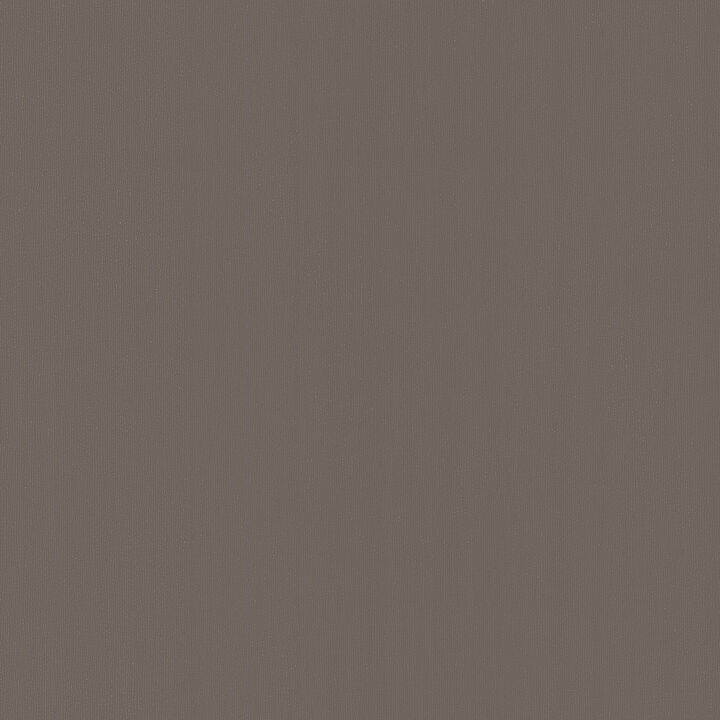 Radiant Juniper Brown Wallpaper