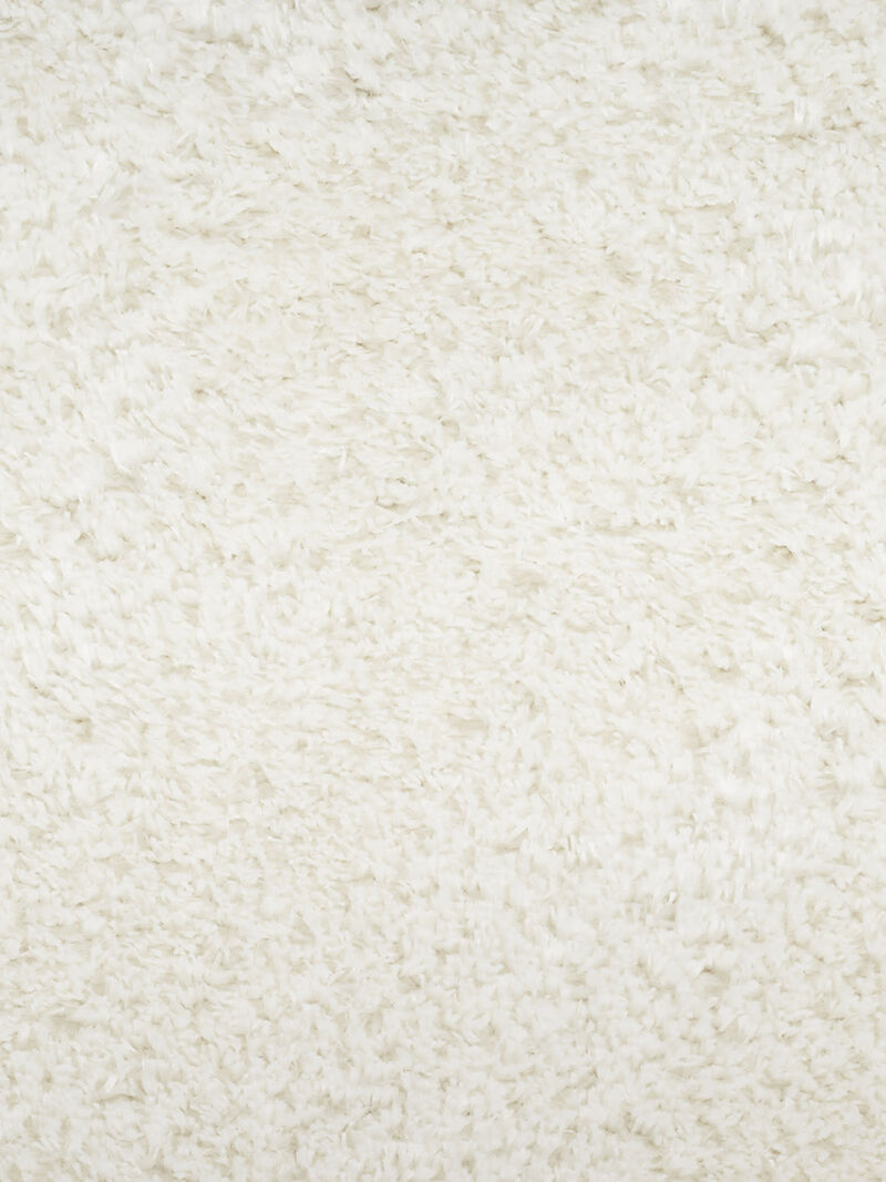 Pacific Shag PCS01 Collection