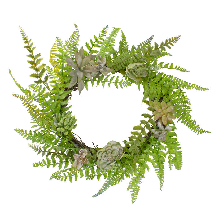Succulents and Foliage Artificial Spring Twig Wreath  Green - 22-Inch