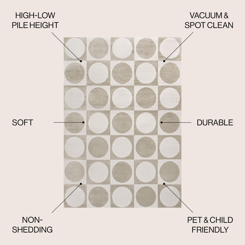 Helena Modern Geometric Circles In Squares High-Low Area Rug
