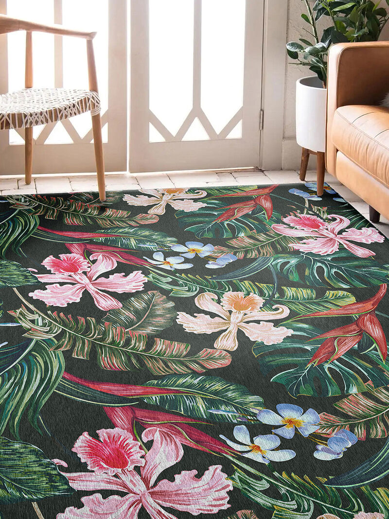 Tropics TC6 Collection