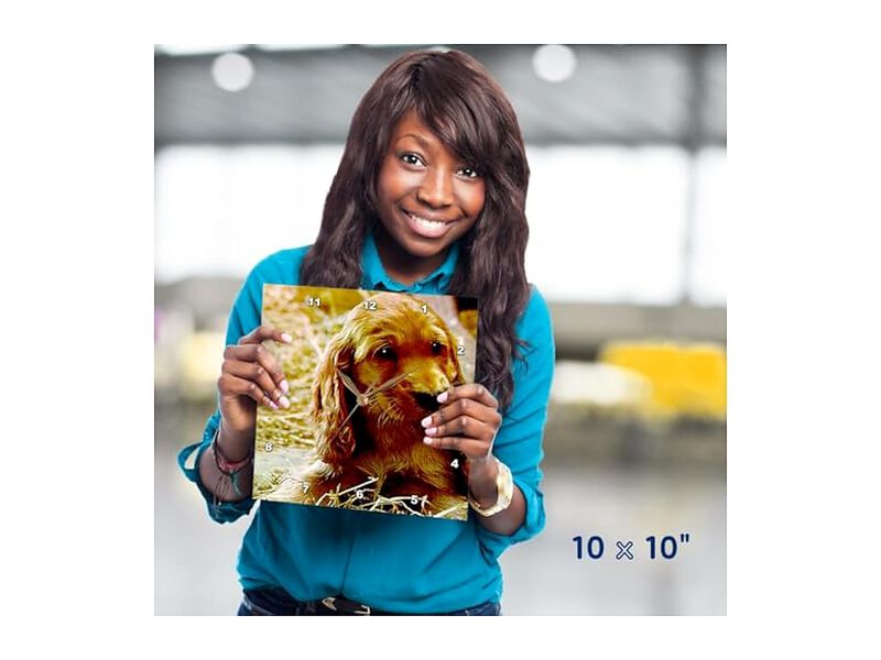 Irish Setter Puppy Wall Clock 10 Inch Home Decor image number 1