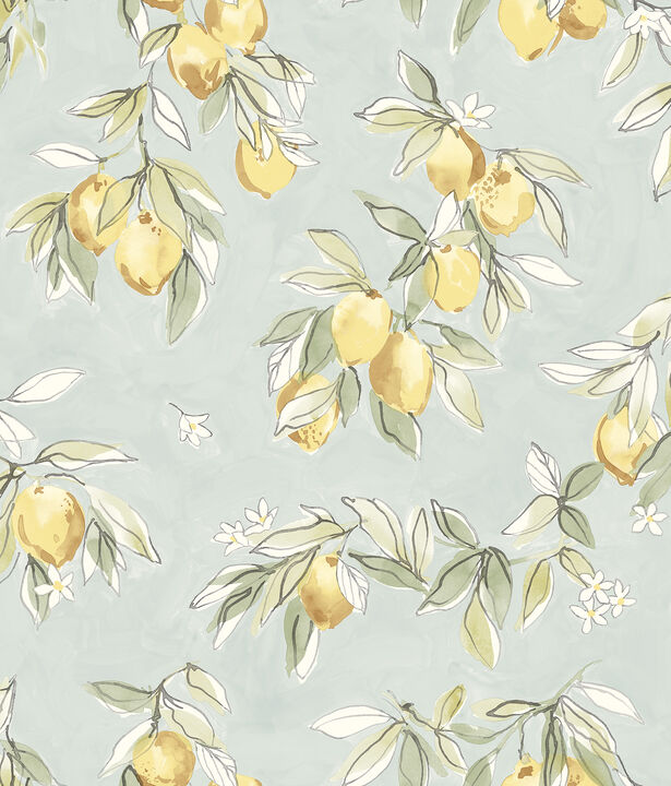 Lemonade Aqua Citrus Wallpaper