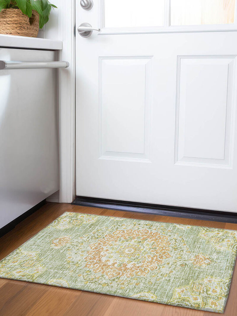 Tabrook TB11 Aloe 20" x 30" Rug image number 1