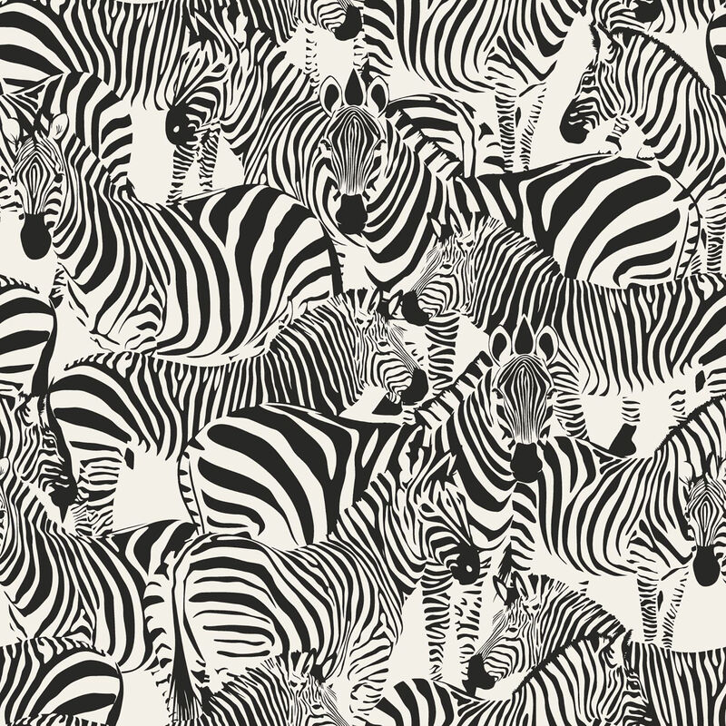 Jemima Black Zebra Wallpaper image number 0