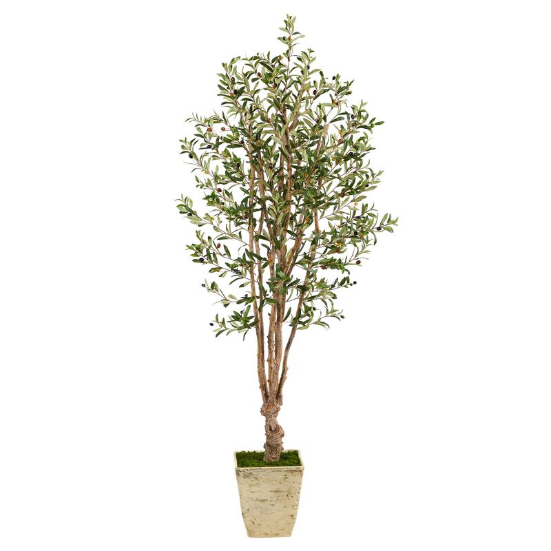 Nearly Natural 6.5-in Olive Artificial Tree in Country White Planter