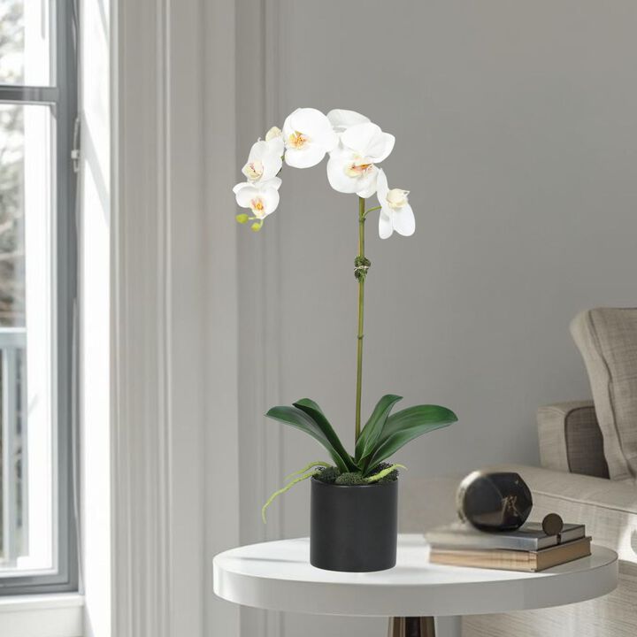 Artificial Orchid Plant in Vase - 20"