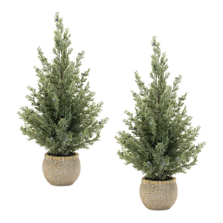 Mini Pine Tree Set of 2 in Pots for Christmas Shelf, Table, or Accent Decor
