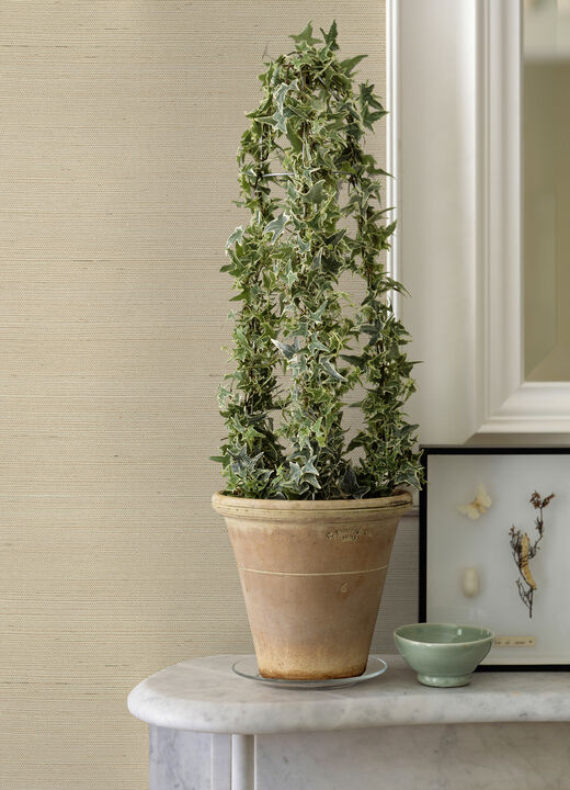 Hetao Cream Sisal Grasscloth Wallpaper (Set of 2)