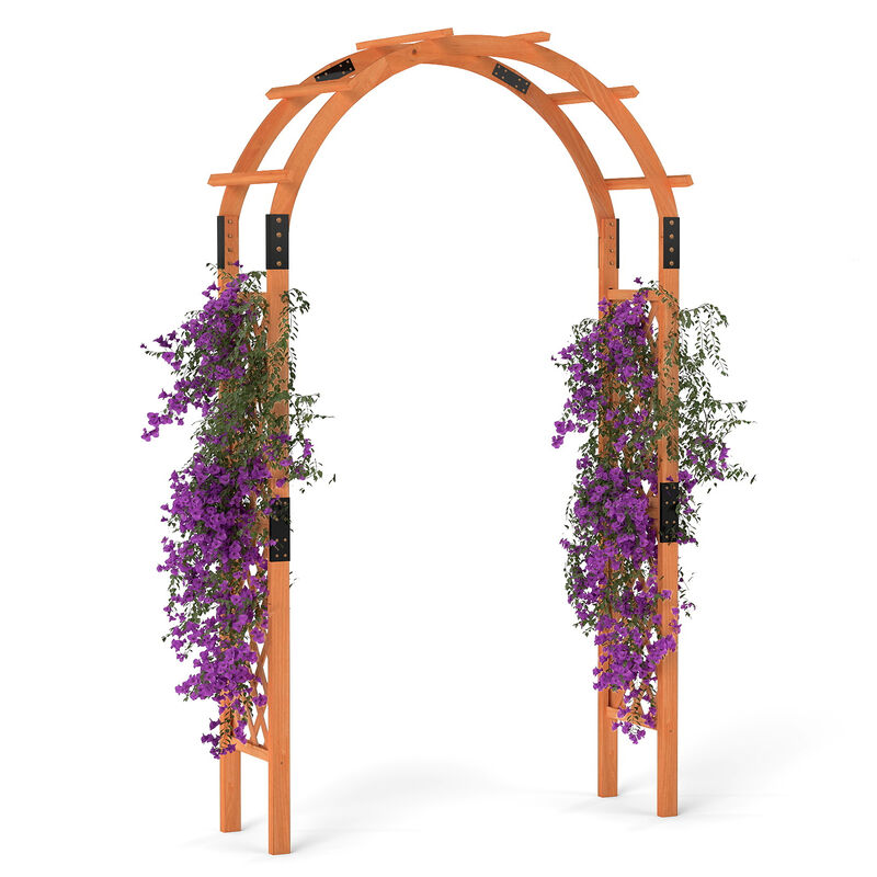 Garden Arch Arbor for Climbing Plants to Support Vines and Enhance Outdoor Landscaping Decor