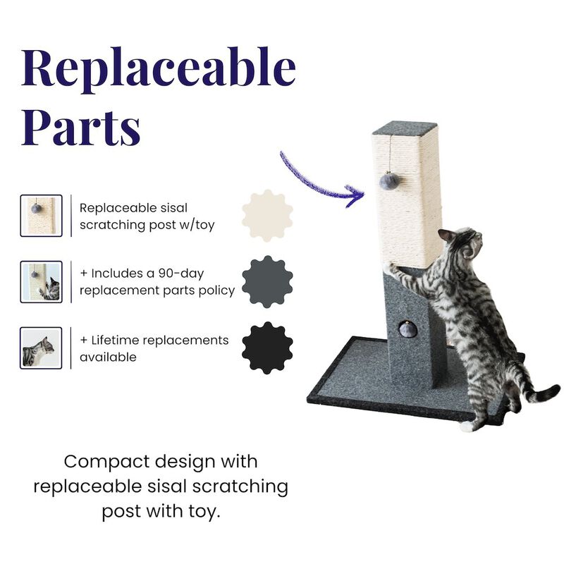 Catry Minimalist Natural Sisal Cat Scratching Post with Peek-a-Boo Ball Toy