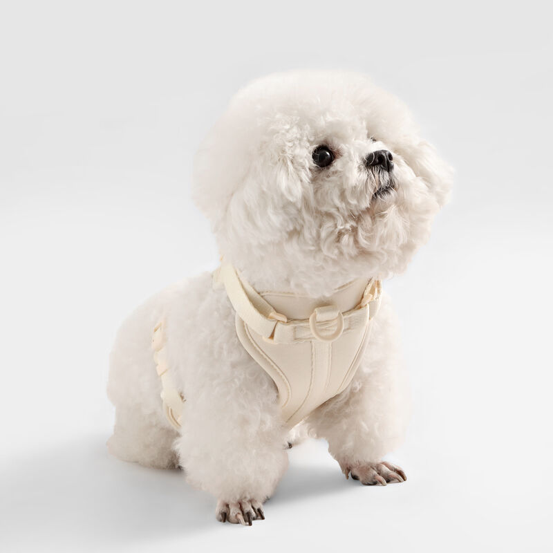 Arlo Adjustable Soft Padded No Pull Pet Harness with 3 Buckles and 3 Leash Clips