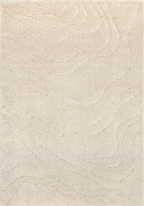 HomeRoots Abstract Area Rug