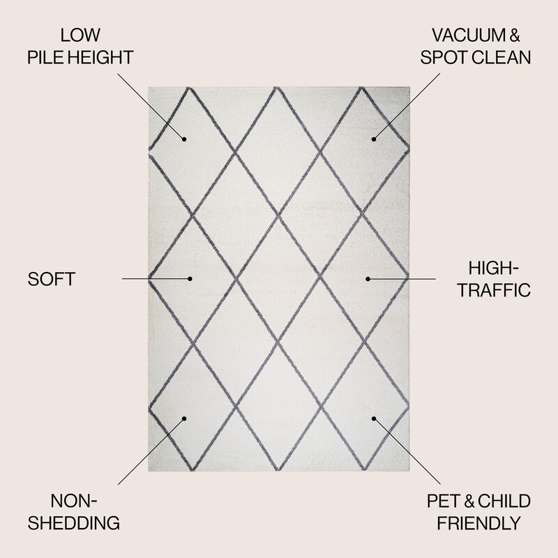 Cole Minimalist Diamond Trellis Area Rug