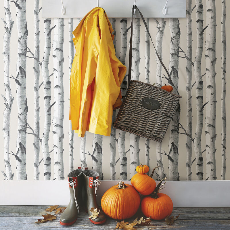 Grey Birch Tree Peel & Stick Wallpaper image number 3