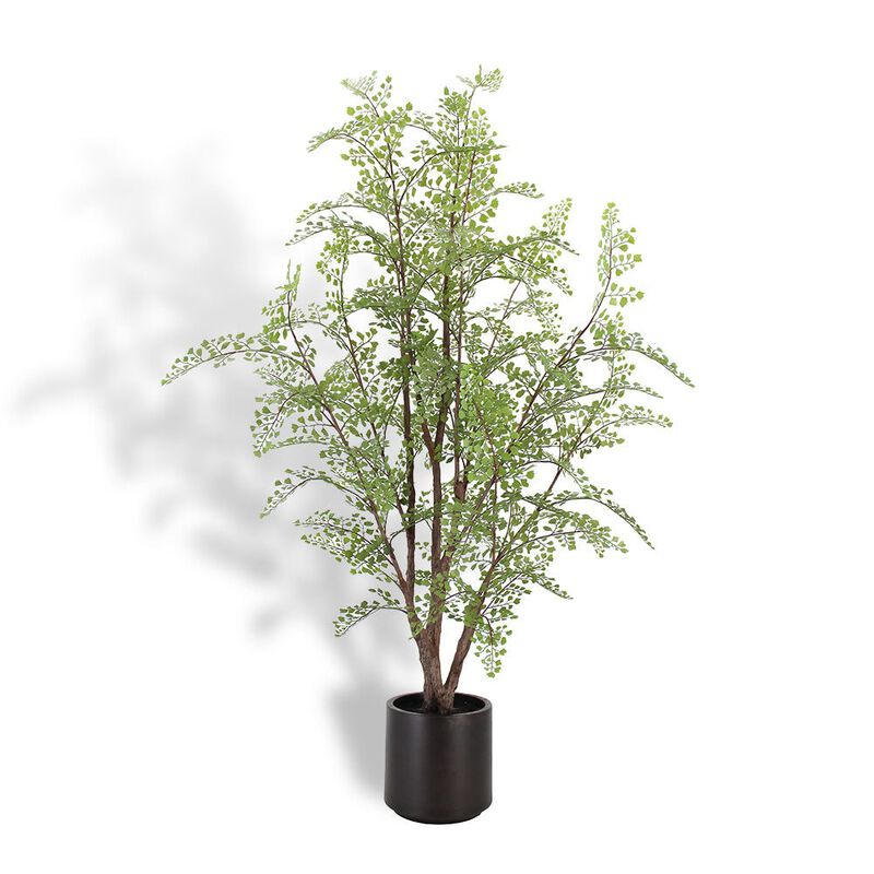 Faux Maidenhair Fern image number 6