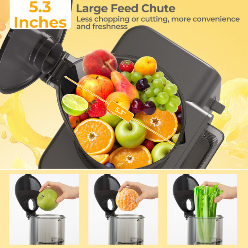 Cold Press Juicer with Feed Chute  High Juice Yield and Reverse Function