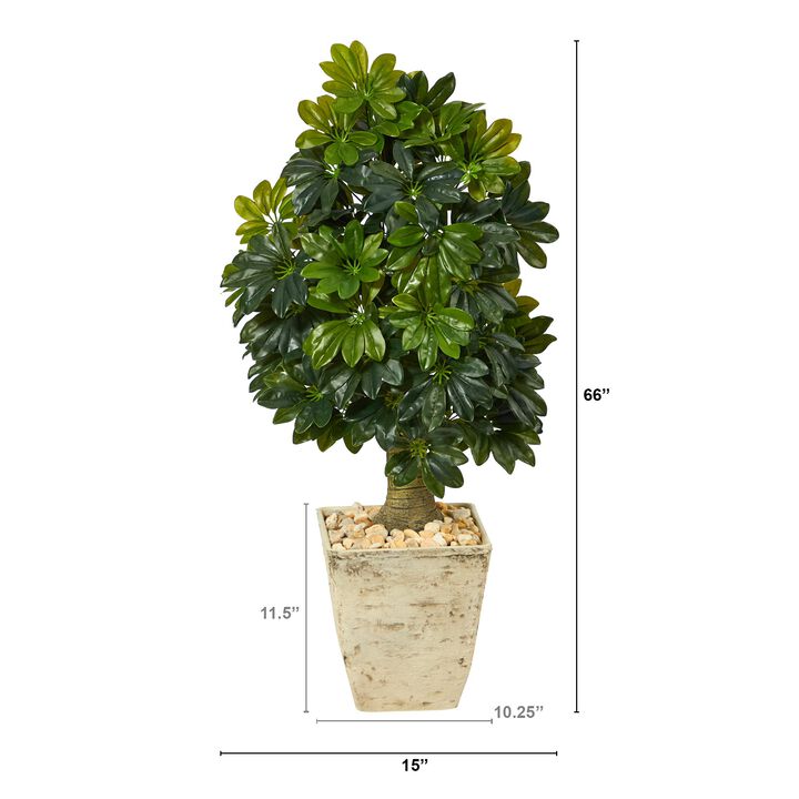 HomPlanti 3.5 Feet Schefflera Artificial Tree in Country White Planter (Real Touch)