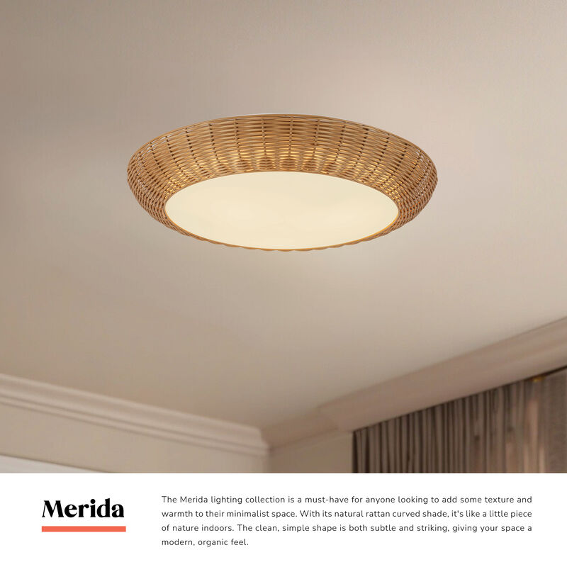 Merida 21 in Socket Flush Mount image number 5