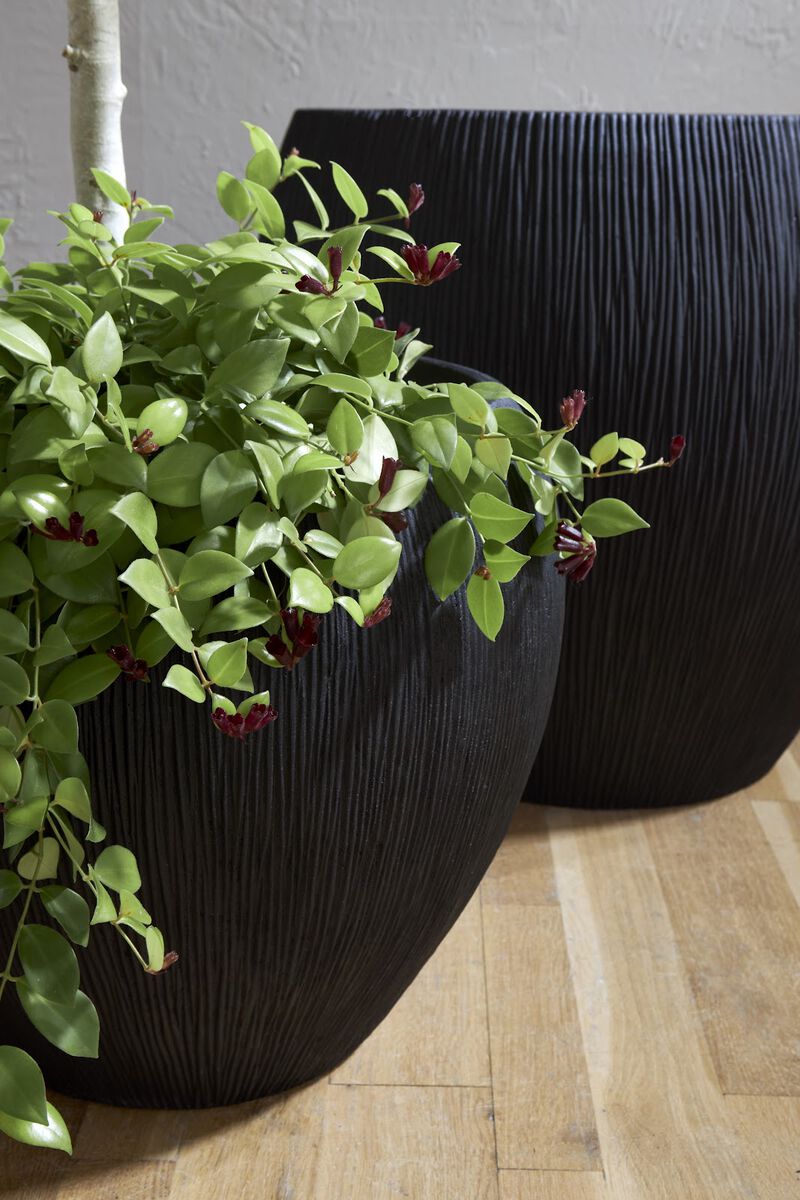 Filament Medium Planter in Black