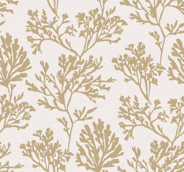 Tortuga Gold Coral Wallpaper