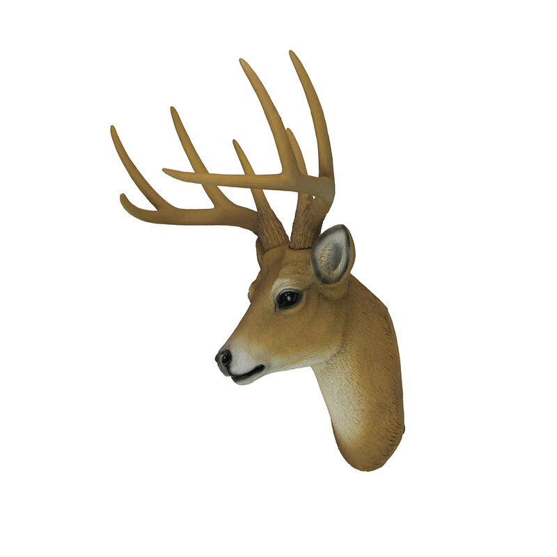Buck Horns Amazing Antlers Wall Mounted Trophy Deer Head Sculpture image number 2