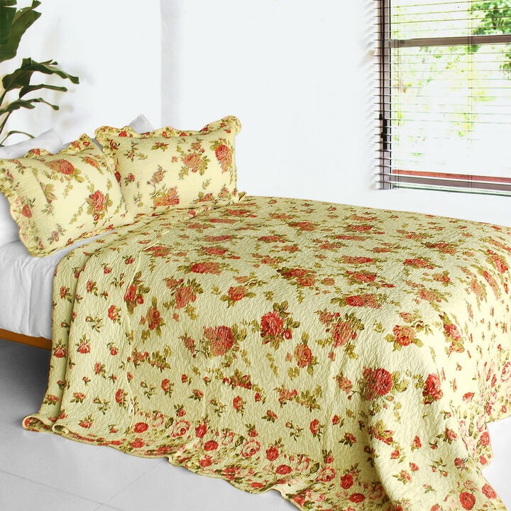 Queen Size Cotton 3 Piece Printed Quilt Set Beauty of Light Soft Bedding