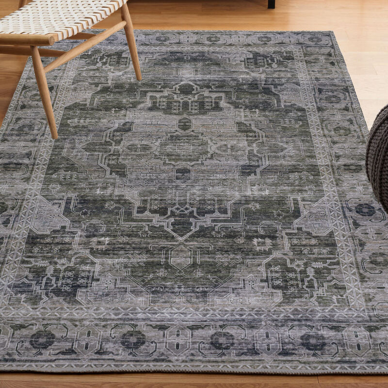 Alanya Ornate Medallion Machine-Washable Area Rug