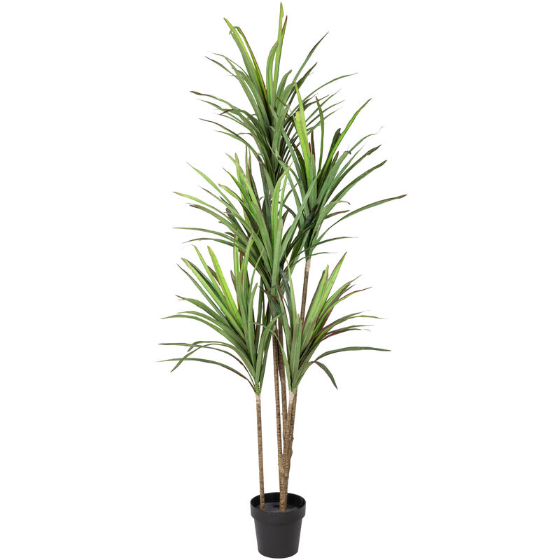 5.5' Green Artificial Dracaena Marginata Plant in Black Pot image number 0