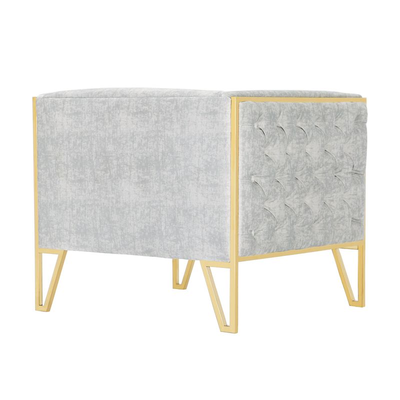 Vector Gray Accent Chairs (Set of 2)