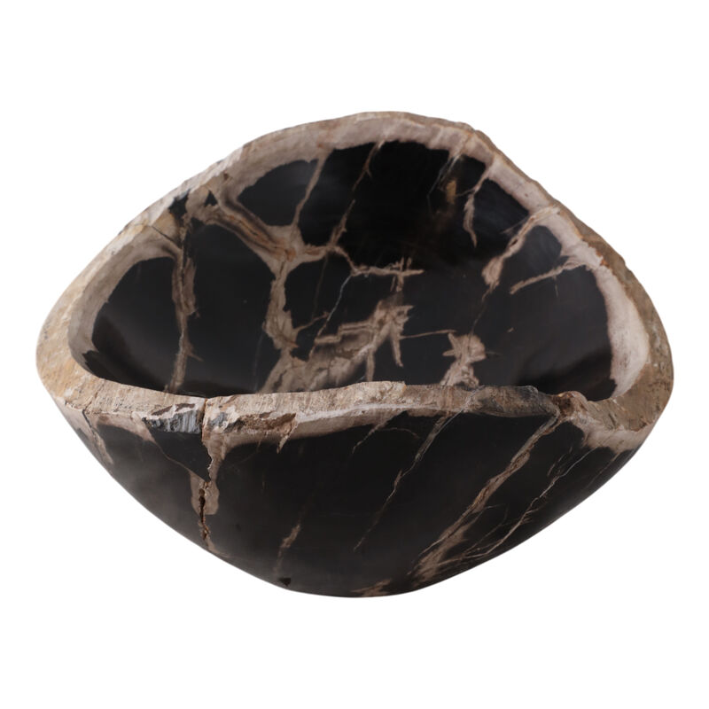 18" Petrified Wood Oval Bowl image number 2
