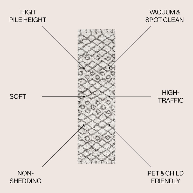 Algaida Moroccan Diamond Shag Area Rug