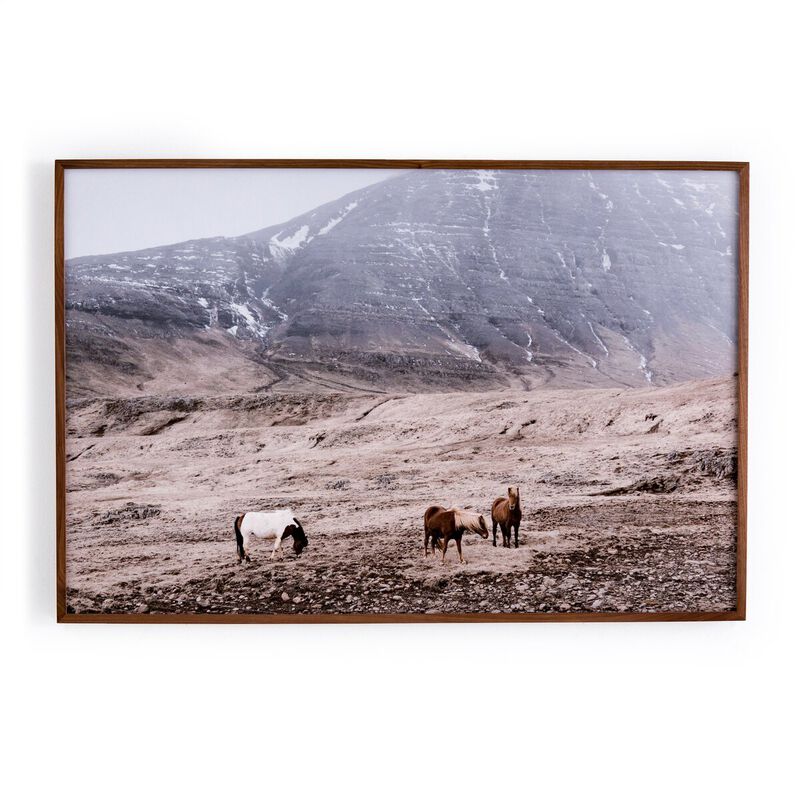 Wild Horses image number 0