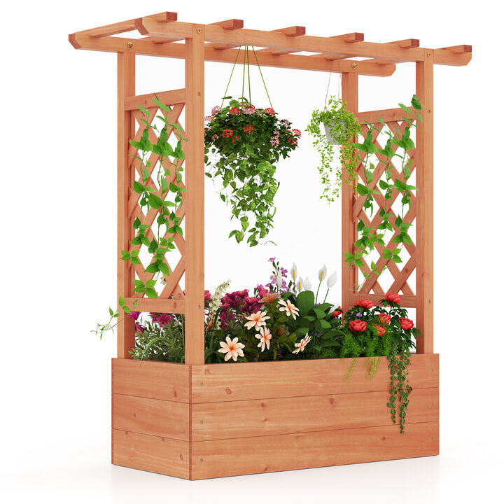 Raised Garden Bed Elevated Planter Box with Trellis and Hanging Roof