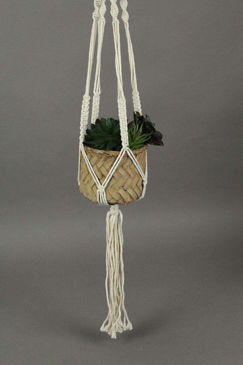 Rope Hanging Cement Succulent Bowl Flower Pot Home Decor Decorative Planter image number 1