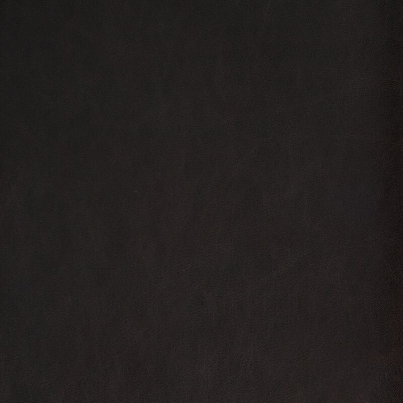 Antonia Cane Armless Leather Counter Stool in Ebony