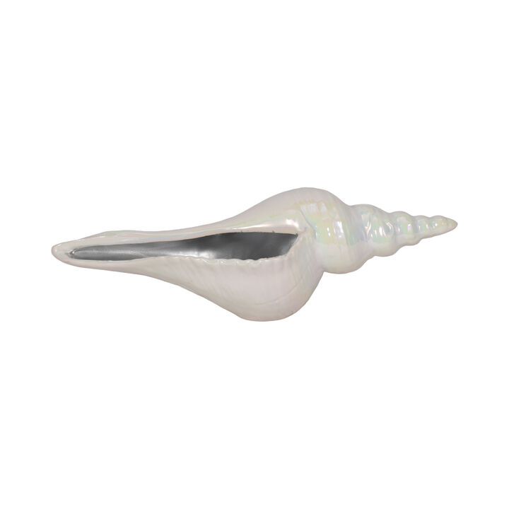 12" Long Iridescent Seashell