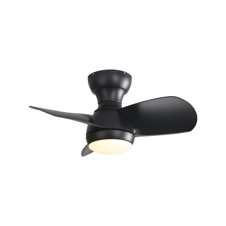 ELEMENT ACE 52 Inch Indoor Ceiling Fan With Dimmable LED Light 3 Solid Wood Blades Remote Control Reversible DC Motor