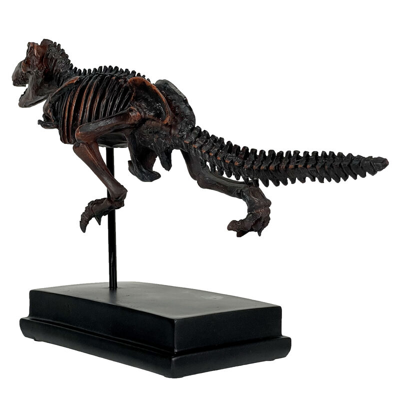 Tyrannosaurus Rex Skeleton Statue T-Rex on Museum Mount image number 3