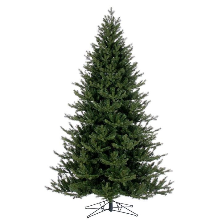 Washington Fir