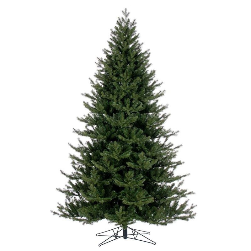 Washington Fir image number 0